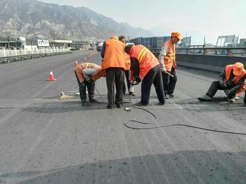 乌坡镇道路桥梁病害治理